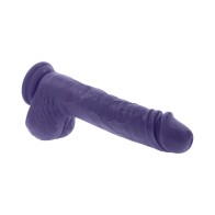 Evolved Pleasure Rider Rechargeable Dildo with Remote - Intense Satisfaction