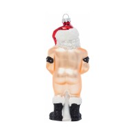 Cheeky Pornament Stiff Package - Festive Fun for Holidays