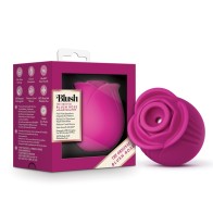 Colección Blush The Original Blush Rose Velvet