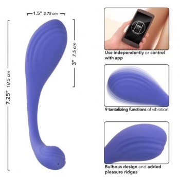 Connect Kegel Exerciser