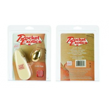 Multi-Speed Vibrating Gold Plastic Egg