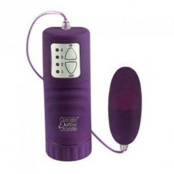 Waterproof Pocket Exotics Bullet Vibrator