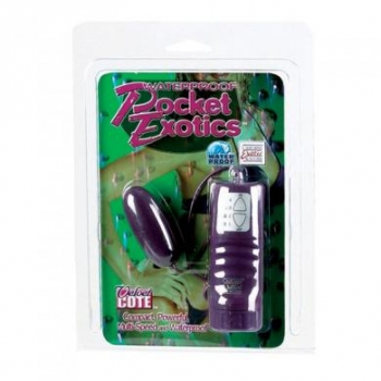 Waterproof Pocket Exotics Bullet Vibrator