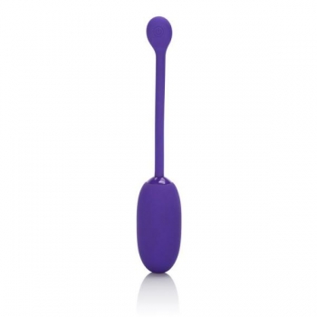 Rechargeable Kegel Ball Starter Purple