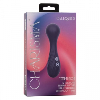 Charisma Temptation Massager - Dual Functionality