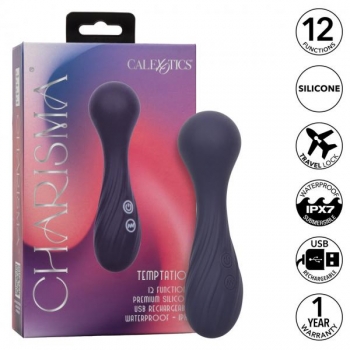 Charisma Temptation Massager - Dual Functionality