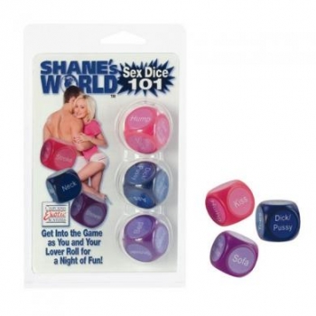 Shanes World Sex Dice 101