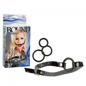 Open Ring Gag with Interchangeable Rings