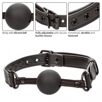 Nocturnal Ballgag