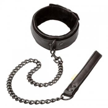 Boundless Collar & Leash - Perfect for Kinky Play