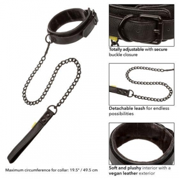 Boundless Collar & Leash - Perfect for Kinky Play