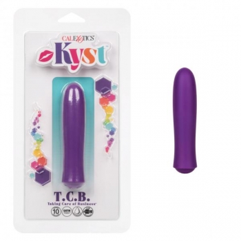 Kyst Taking Care Of Business Mini Vibrator