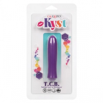 Kyst Taking Care Of Business Mini Vibrator