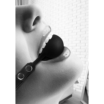 Silicone Ball Gag with Adjustable Bonded Leather Straps