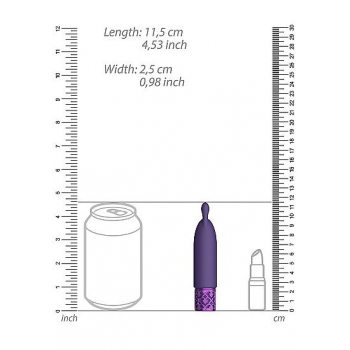 Royal Gems Twinkle Silicone Bullet Rechargeable Purple