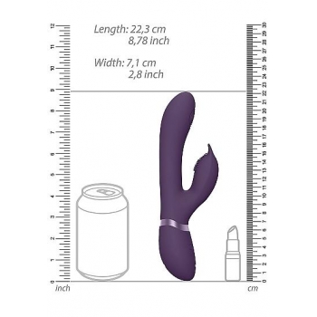 Vive Aimi Pulse Wave & G-spot Rabbit Purple