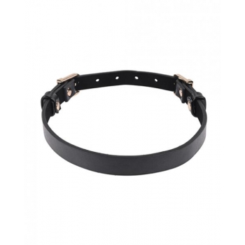 Sex & Mischief Double Buckle Day Collar