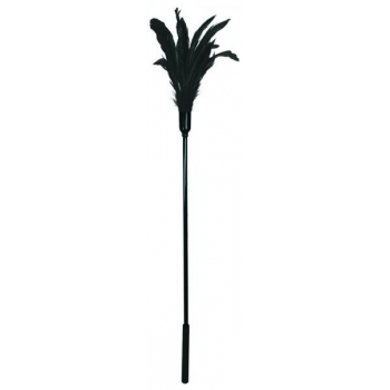 Black Starburst Feather Tickler