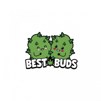 Best Buds Pin (net)